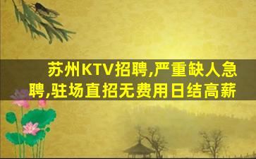 三亚酒吧招聘